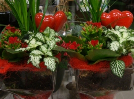 valentijn 14 februari