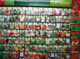 Bloembollen en zaden