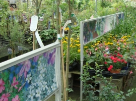 Vaste planten en bodembedekkers